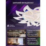 Потолочная люстра Natali Kovaltseva Olimp LED LAMPS 81437