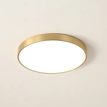 Потолочный светильник FLIMS D50 Circle Brass Потолочный светильник FLIMS D50 Circle Brass