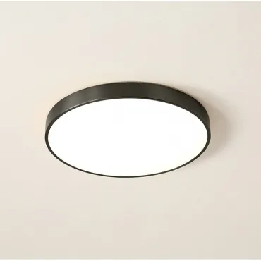 Потолочный светильник FLIMS D50 Circle Black Потолочный светильник FLIMS D50 Circle Black