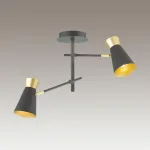 Потолочная люстра KERTY