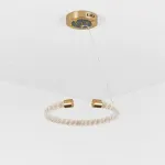 Подвесная светодиодная люстра VIDAGO RING