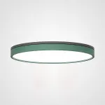 Потолочный светильник KIER D60 Green от ImperiumLoft