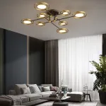 Потолочная люстра RISOR B D110