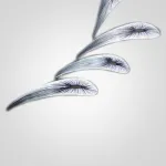 Подвесная люстра Aqua Creations Lighting FISH L60