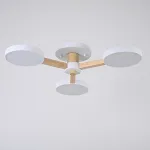 Потолочная люстра TURNA 3 White от ImperiumLoft