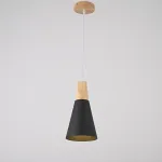 Подвесной светильник XD-A Black от ImperiumLoft