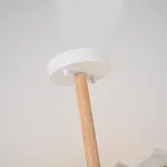 Потолочная люстра FINCH 6