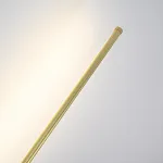 Настенный светильник Wall LINES L60 Gold от ImperiumLoft