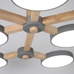 Потолочная люстра TURNA Серый