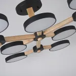 Потолочная люстра TURNA Черный