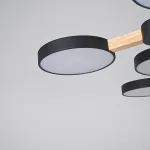 Потолочная люстра TURNA Черный