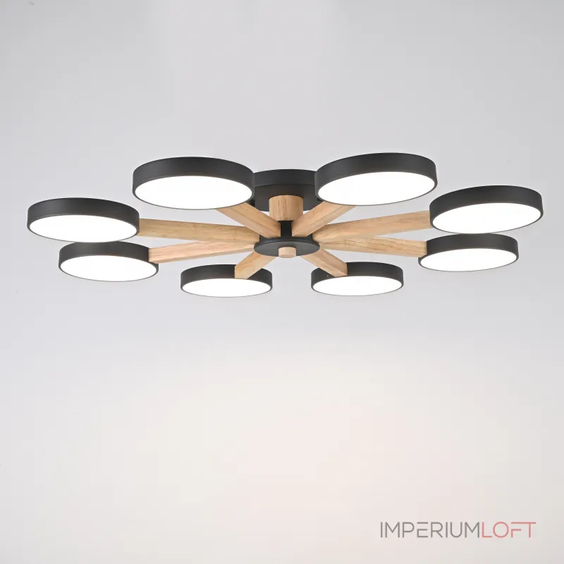 Потолочная люстра TURNA 8 Black от ImperiumLoft