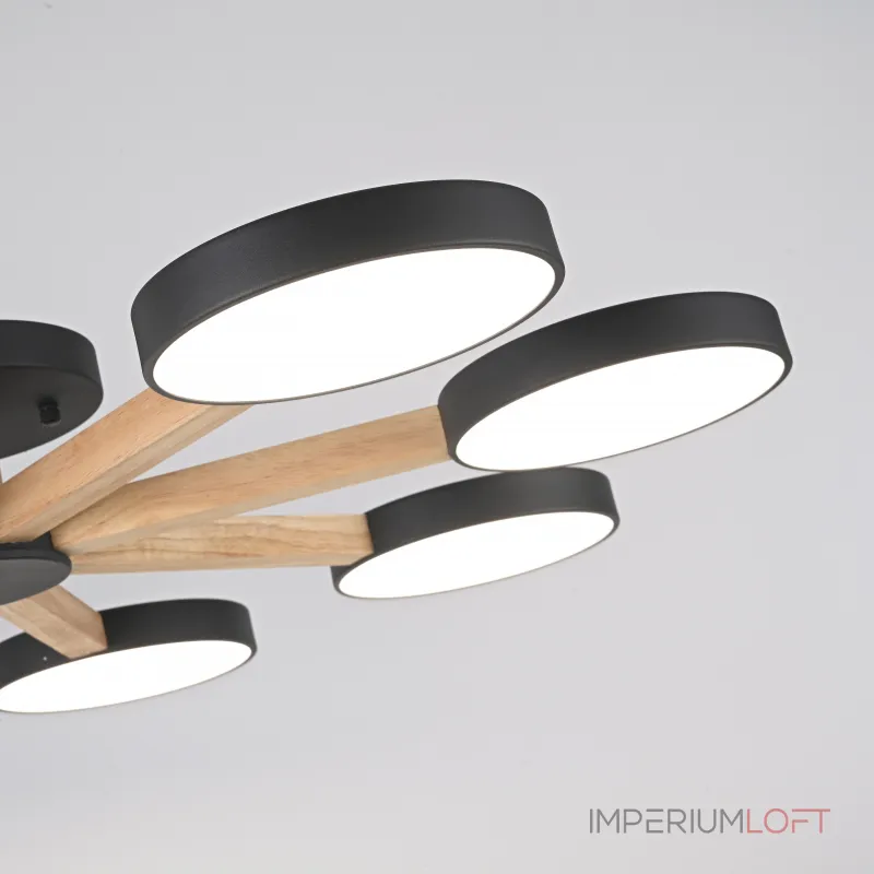 Потолочная люстра TURNA 8 Black от ImperiumLoft