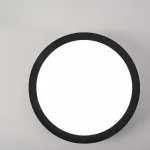 Потолочный светильник SLIM D18 Черный от ImperiumLoft