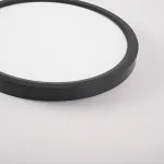 Потолочный светильник SLIM D23 Черный от ImperiumLoft