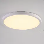 Потолочный светильник SLIM D30 Белый от ImperiumLoft