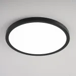 Потолочный светильник SLIM D30 Черный от ImperiumLoft