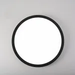 Потолочный светильник SLIM D30 Черный от ImperiumLoft