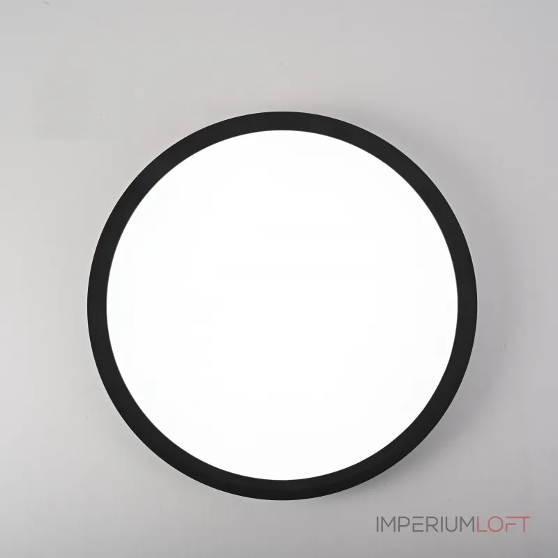 Потолочный светильник SLIM D30 Черный от ImperiumLoft