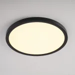 Потолочный светильник SLIM D30 Черный от ImperiumLoft