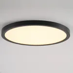 Потолочный светильник SLIM D30 Черный от ImperiumLoft