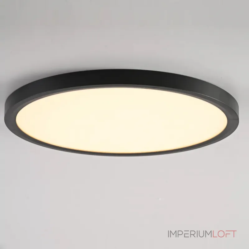 Потолочный светильник SLIM D30 Черный от ImperiumLoft