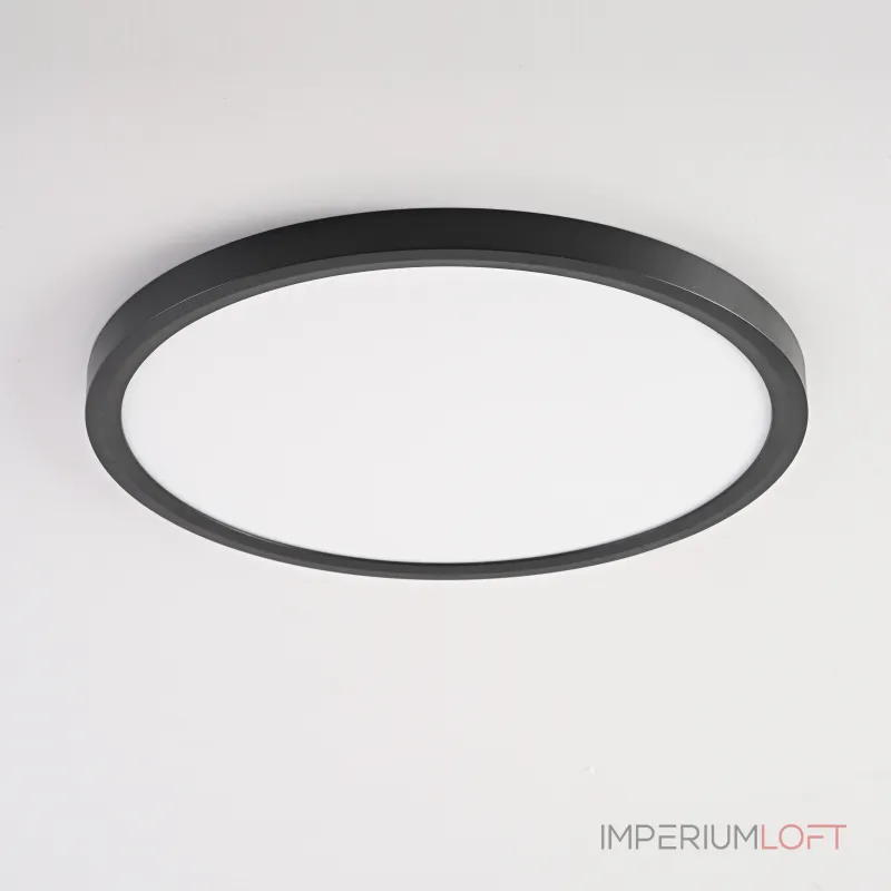 Потолочный светильник SLIM D30 Черный от ImperiumLoft