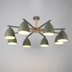 Потолочная люстра NOA 8 Olive