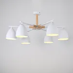 Потолочная люстра NOA 6 White