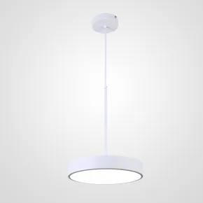 Подвесной светильник TURNA ONE D30 White by ImperiumLoft