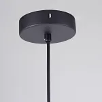 Подвесной светильник OMG GLASS D19 tree от ImperiumLoft