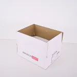 Люстра на штанге Jorgenson D70 White/Light wood