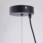 Подвесной светильник MARGOTT D25 Black