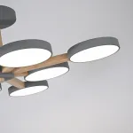 Потолочная люстра TURNA L8 Grey