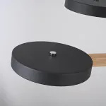 Люстра на штанге TURNA DBL L6 Black