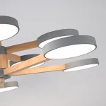 Люстра на штанге TURNA DBL L10 Gray