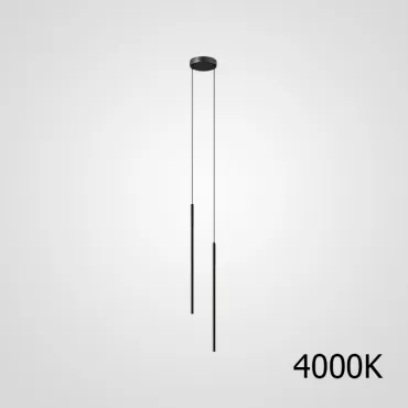 Комбинация светильников ATTA DUO L BLACK 4000