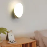 Настенный cветильник яйцевидной формы со скрытой проводкой VOLLRAD GREEN от ImperiumLoft