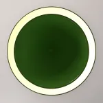 Подвесной светильник Woud Annular D25 Bright Green от ImperiumLoft