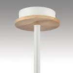 Потолочная люстра Lumion County 8246/3C