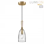 Подвесной светильник Lumion Suspentioni 8284/1A
