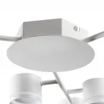 Потолочная люстра Lumion Comfi 8235/9C