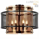 Потолочный светильник Lumion Moderni 8007/6C