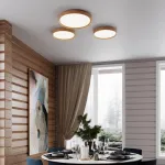 Настенно-потолочный светильник Сонекс Woodi 3019/DL от ImperiumLoft
