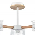 Потолочная люстра Lumion County 8246/3C