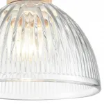 Подвесной светильник Lumion Suspentioni 8055/1A