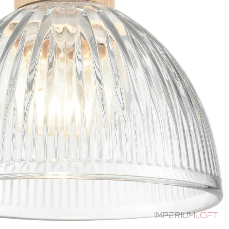 Подвесной светильник Lumion Suspentioni 8055/1A