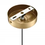 Подвесной светильник Lumion Suspentioni 8284/1A