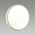 Потолочный светильник Sonex Losta 7628/EL