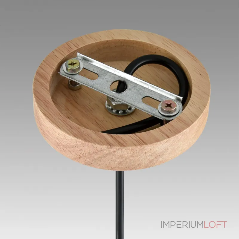 Подвесной светильник Lumion Suspentioni 8055/1A